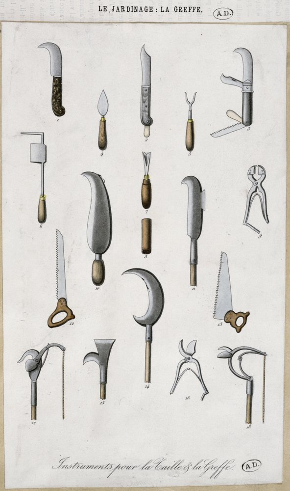 Garden tools for grafting and pruning by French School