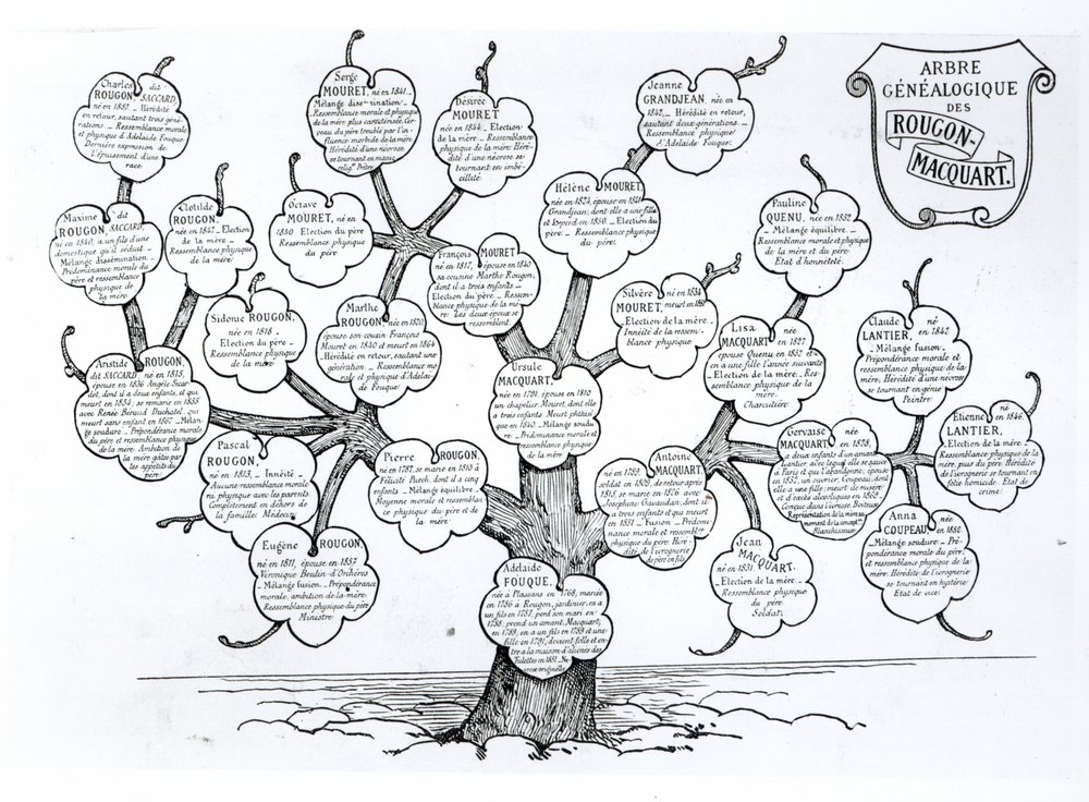 Genealogical Tree of the Rougon-Macquart Family by French School