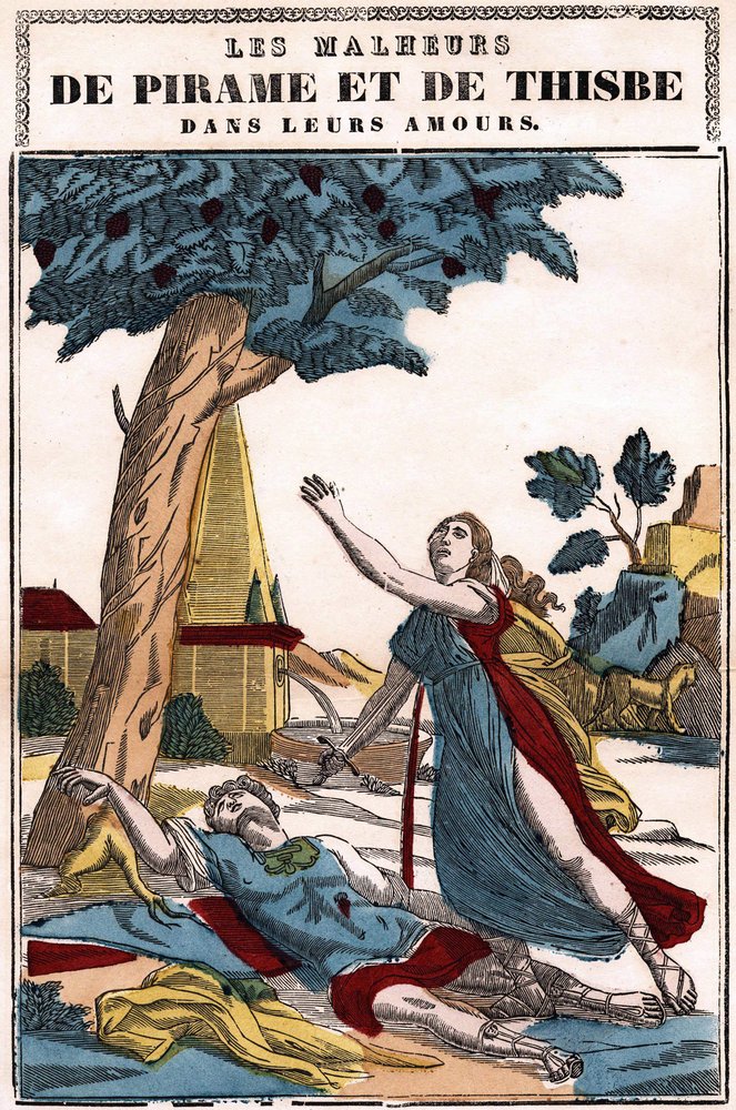 Pyramus And Thisbe Lion Image Of Pyramus And Thisbe (mosaic) By Roman,