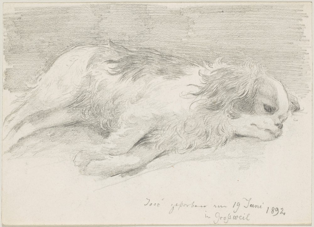 Dog Studies by Friedrich August von Kaulbach