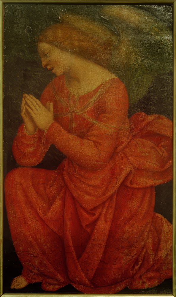 Praying Angel by Gaudenzio Ferrari: Buy fine art print