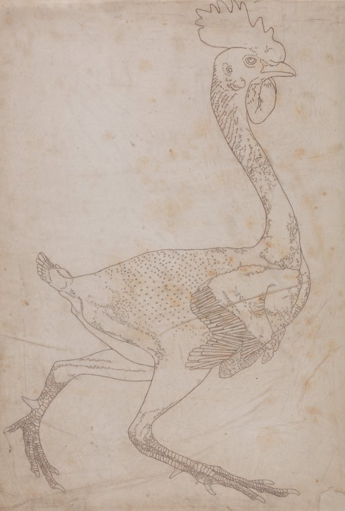 A Comparative Anatomical Exposition of the Structure of the Human Body with That of a Tiger and a Cow by George Stubbs