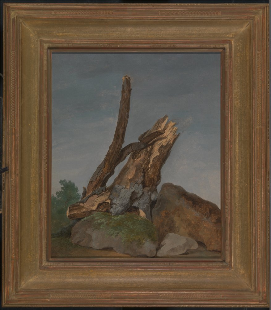 Study of Rocks and Branches by George Augustus Wallis