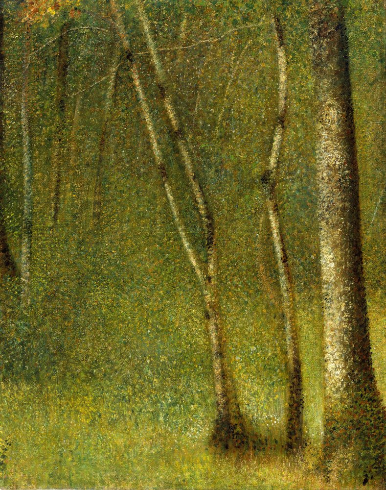The Forest at Pontaubert, 1881. by Georges Pierre Seurat