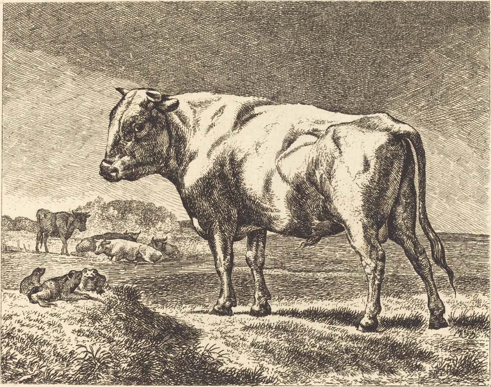 Cow by German 19th Century