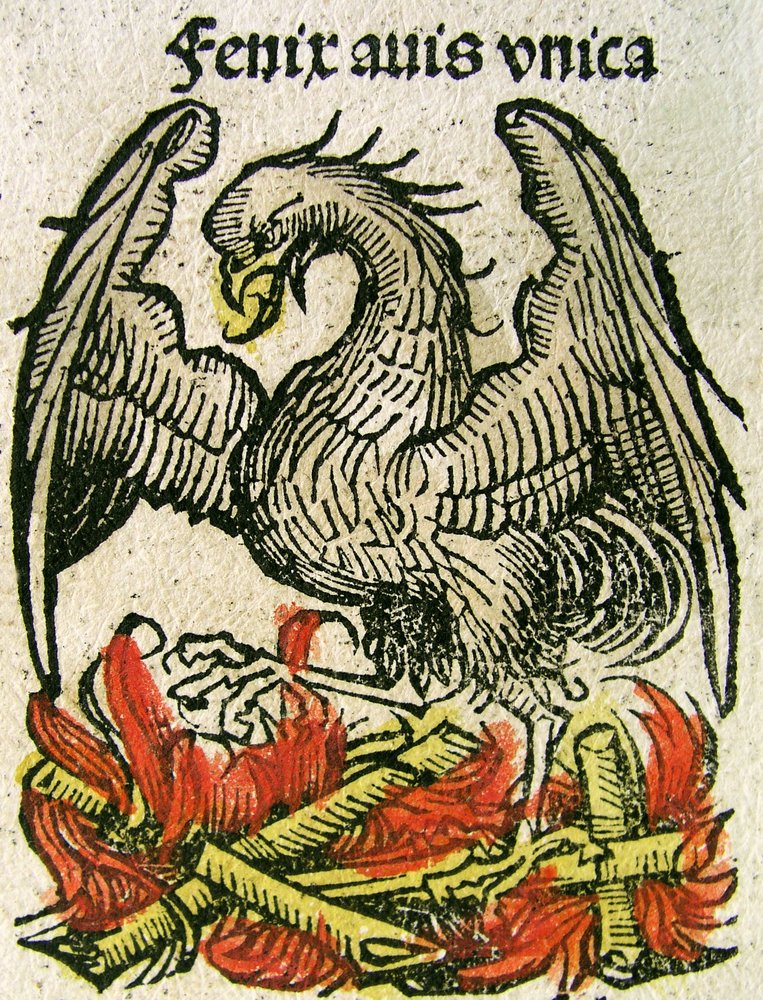 Phoenix by German School: Premium art reproduction
