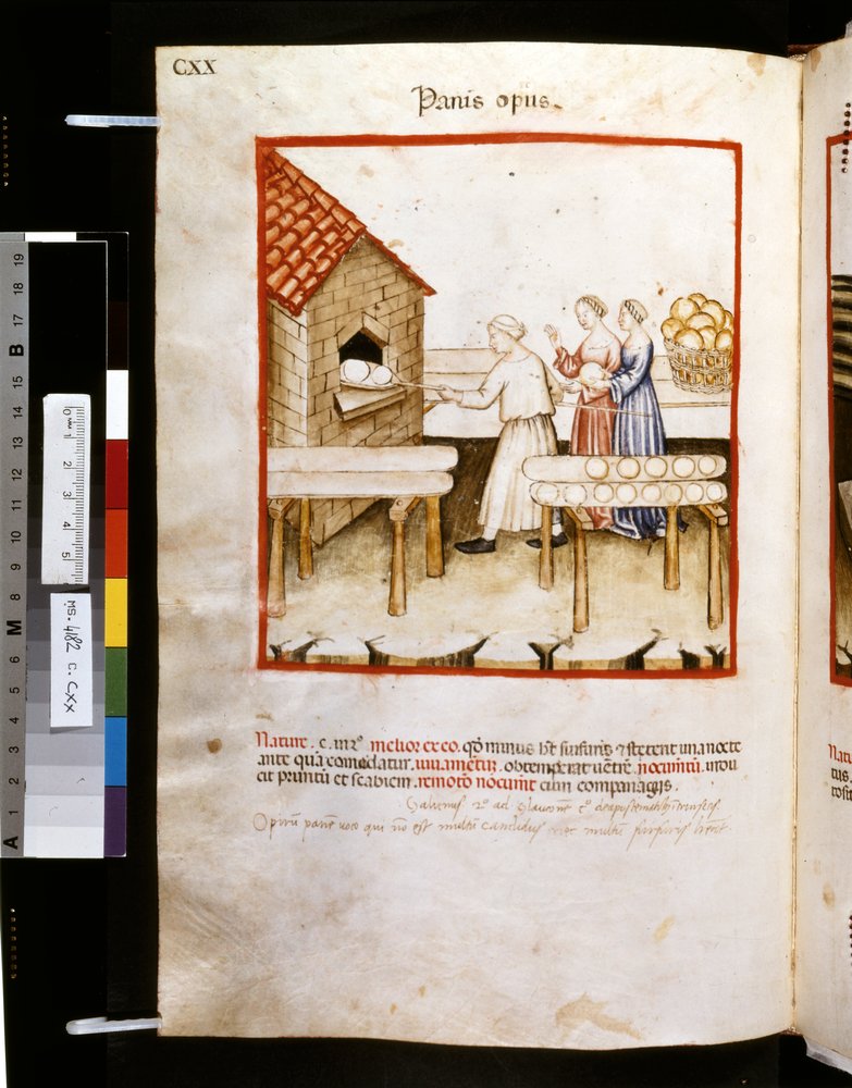 Theatrum sanitatis by Ububchasym de Baldach: 'Panis Op Us', first ...