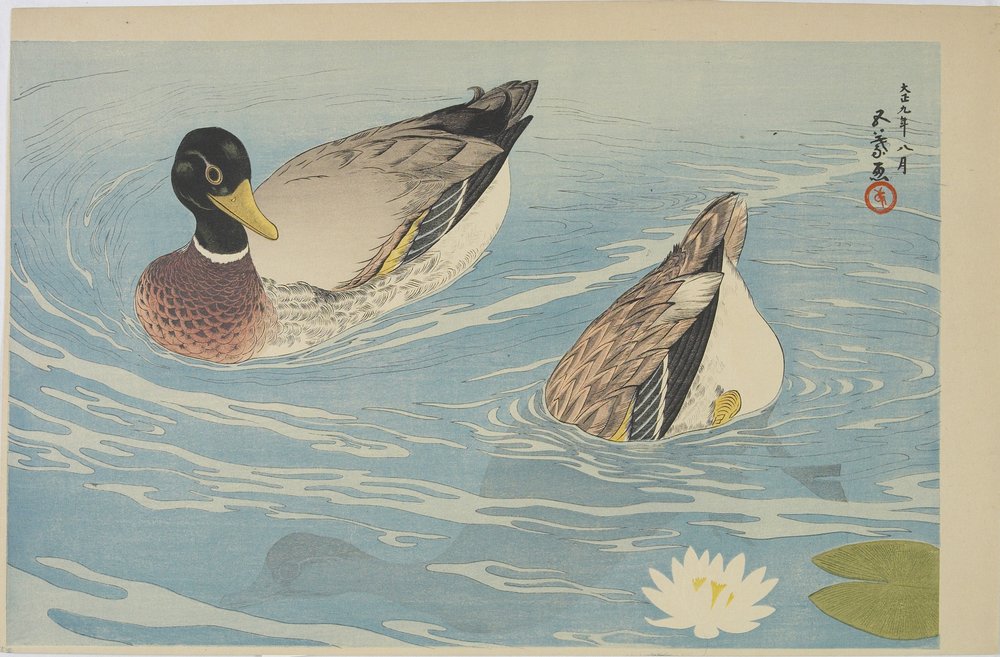 Ducks by Goyo Hashiguchi: Highest-quality art reproduction