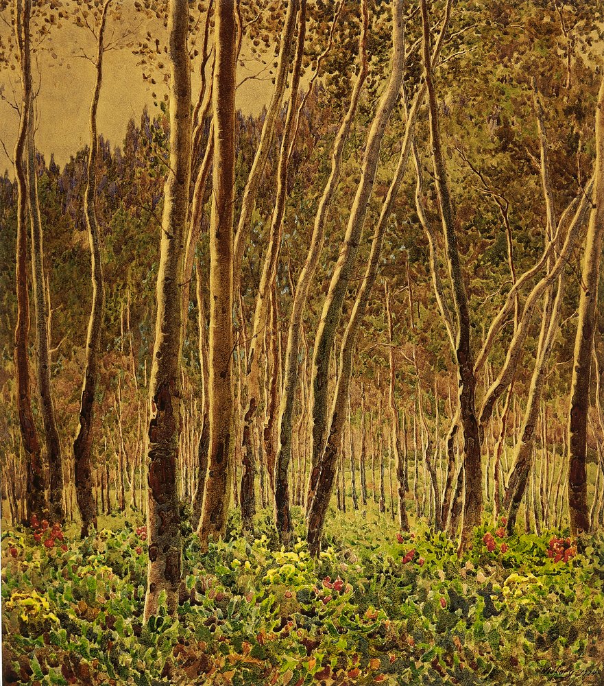 Sunlit Birches by Gunnar Widforss