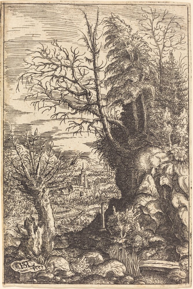 Landscape with a Willow by Hans Sebald Lautensack