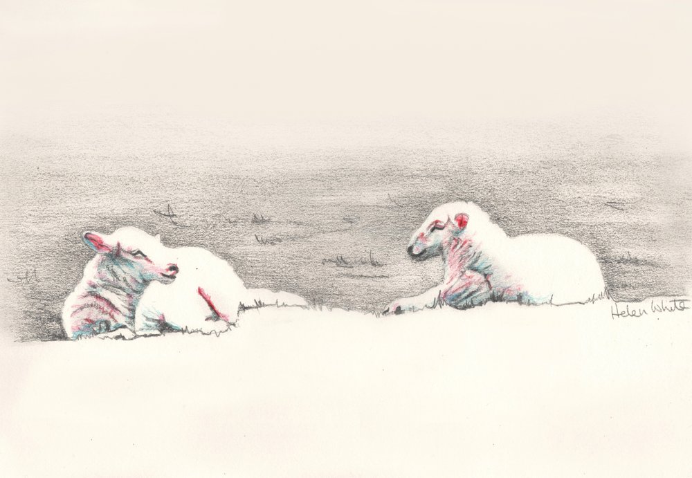 Napping by Helen White: Premium art reproduction