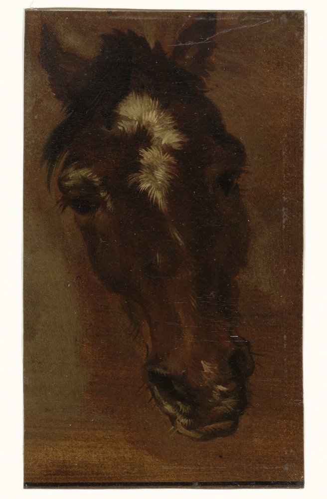 Horse Head by Henriëtte Ronner