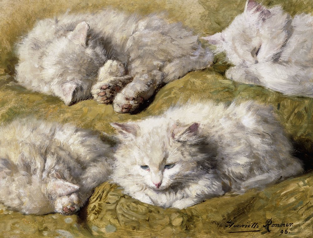 Studies of a Long-haired White Cat, 1896 by Henriëtte Ronner-Knip