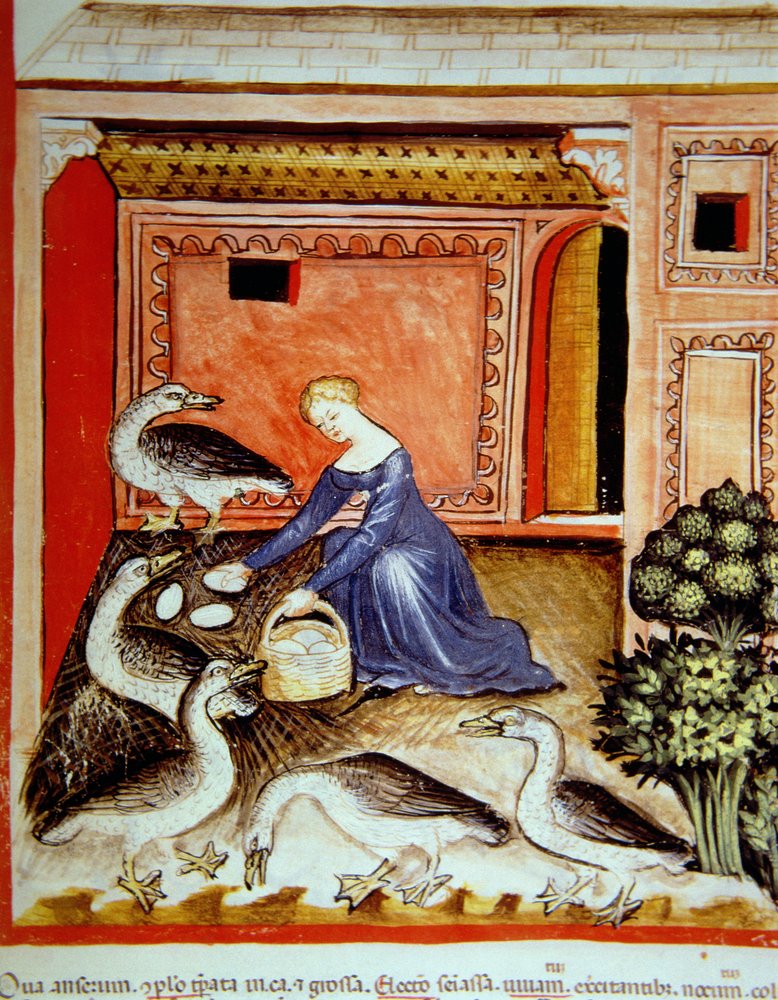 Rearing Geese, illustration from Tacuinum Sanitatis Codex Vindobonensis