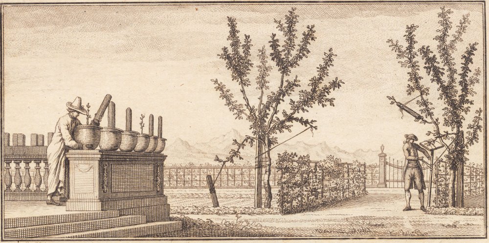 The Garden at Genthod by J.F. Clemens
