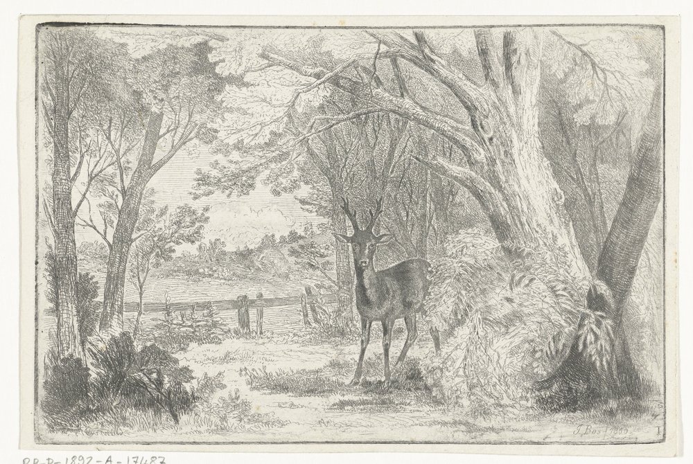 Park Landscape with Deer by Jan Bos Wz.