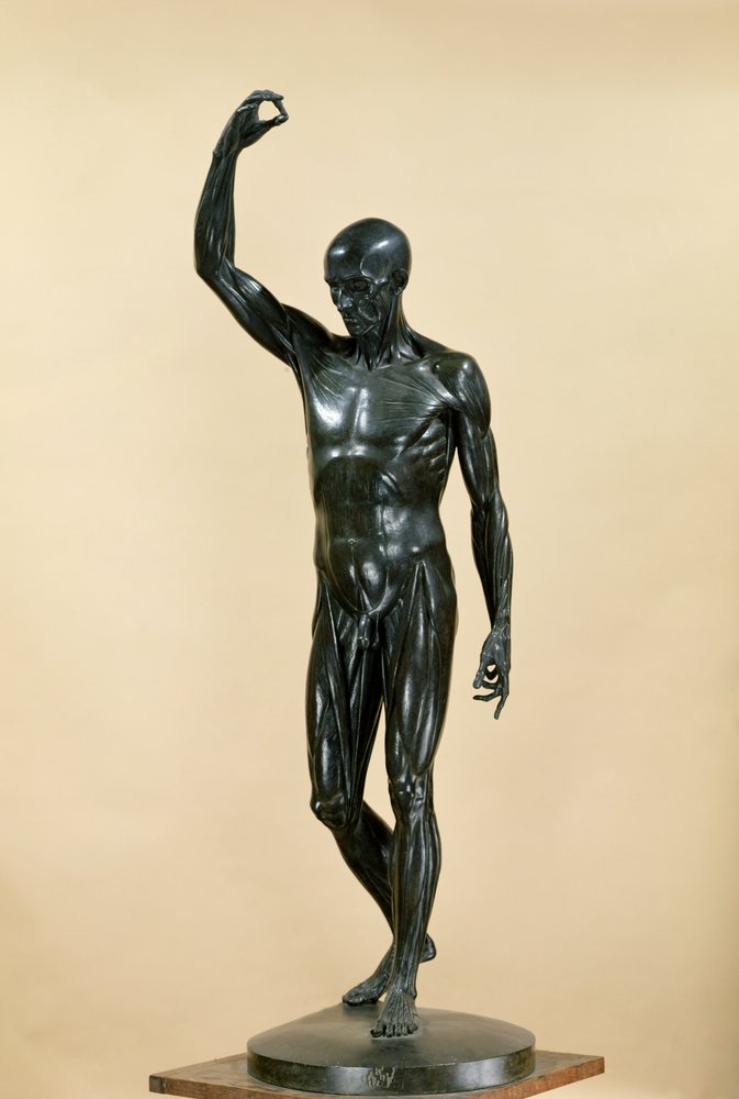 Flayed Body (L'Ecorche) by Jean Antoine Houdon