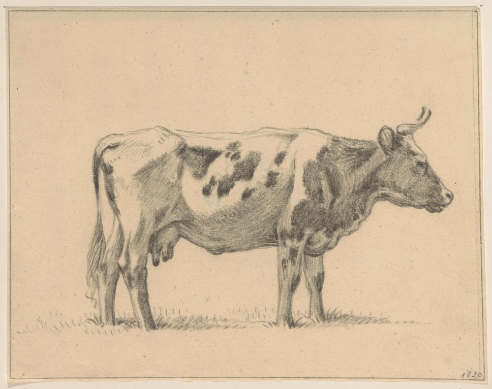 Standing Cow, Facing Right by Jean Bernard: Fine art print