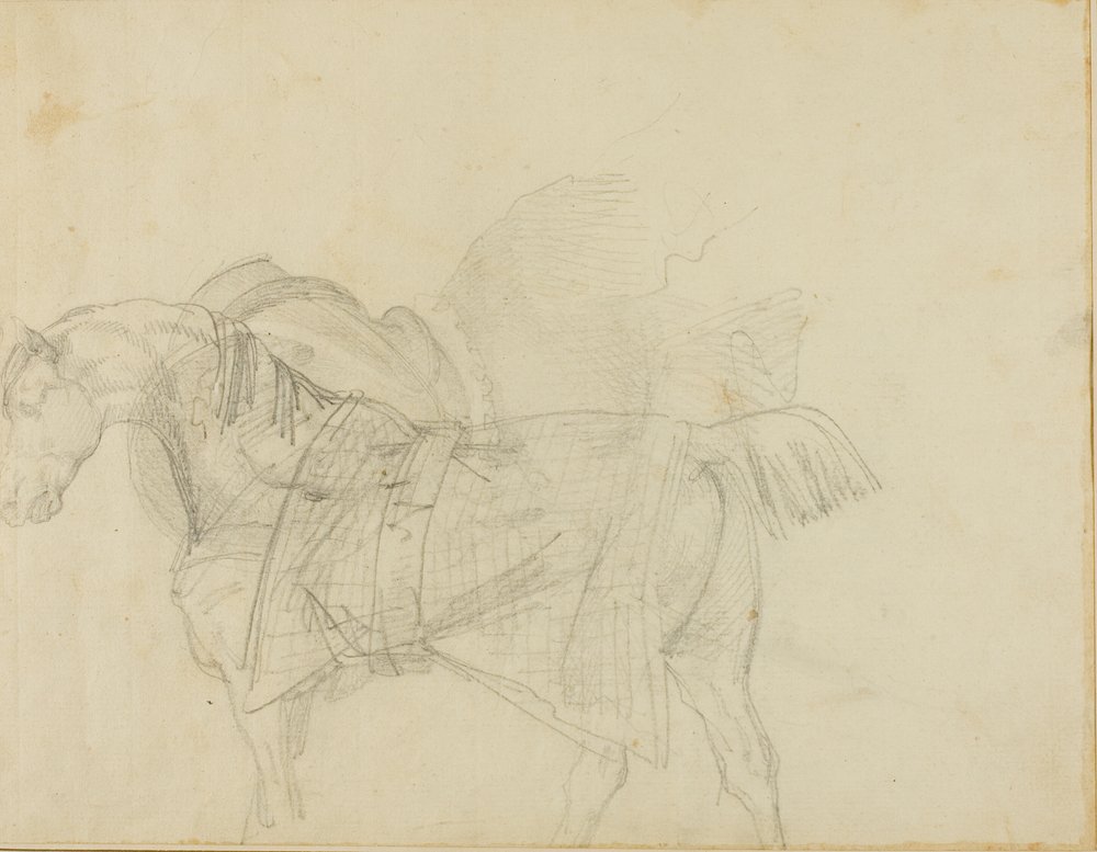 Horse Wearing a Blanket by Jean Louis André Théodore Géricault