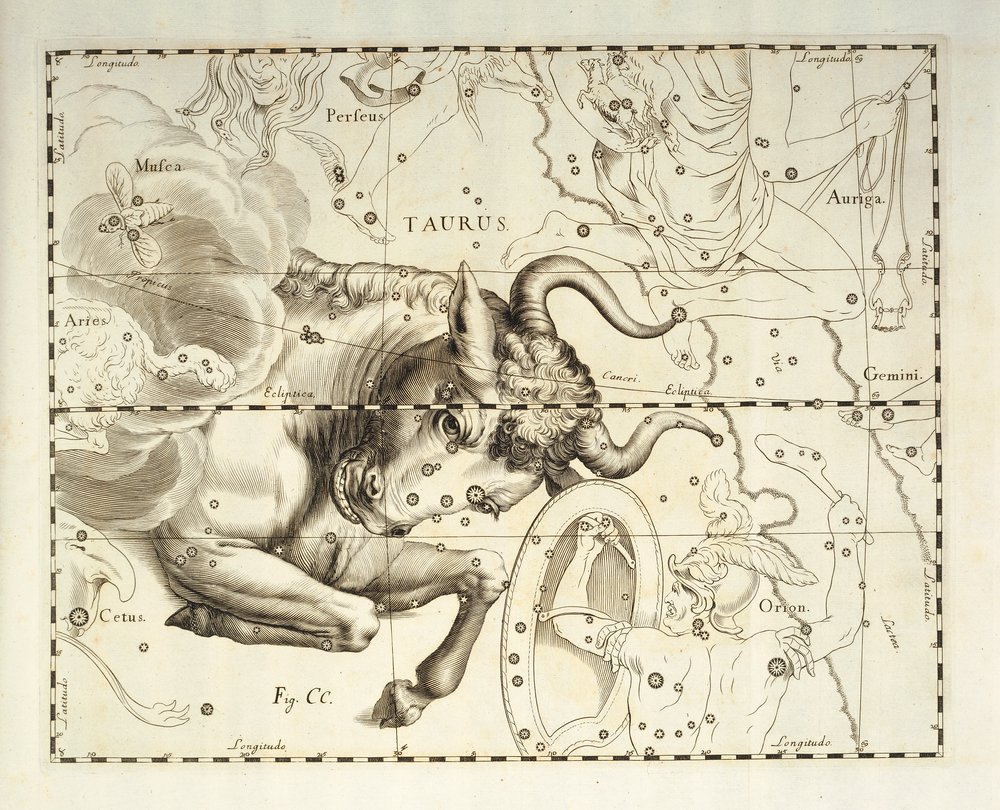 Taurus, constellation of Taurus, engraving from celestial atlas ...