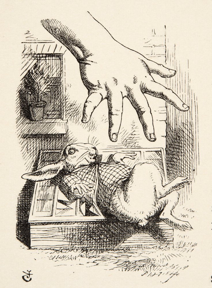 Alice Drops the White Rabbit, from Alice's Adventures in Wonderland by ...