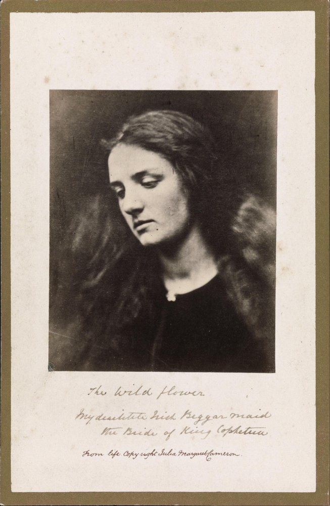The Wild Flower by Julia Margaret Cameron
