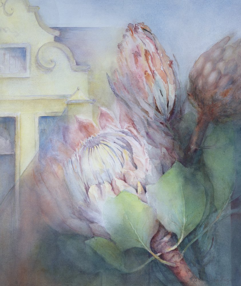 Protea at Stellenbosch by Karen Armitage