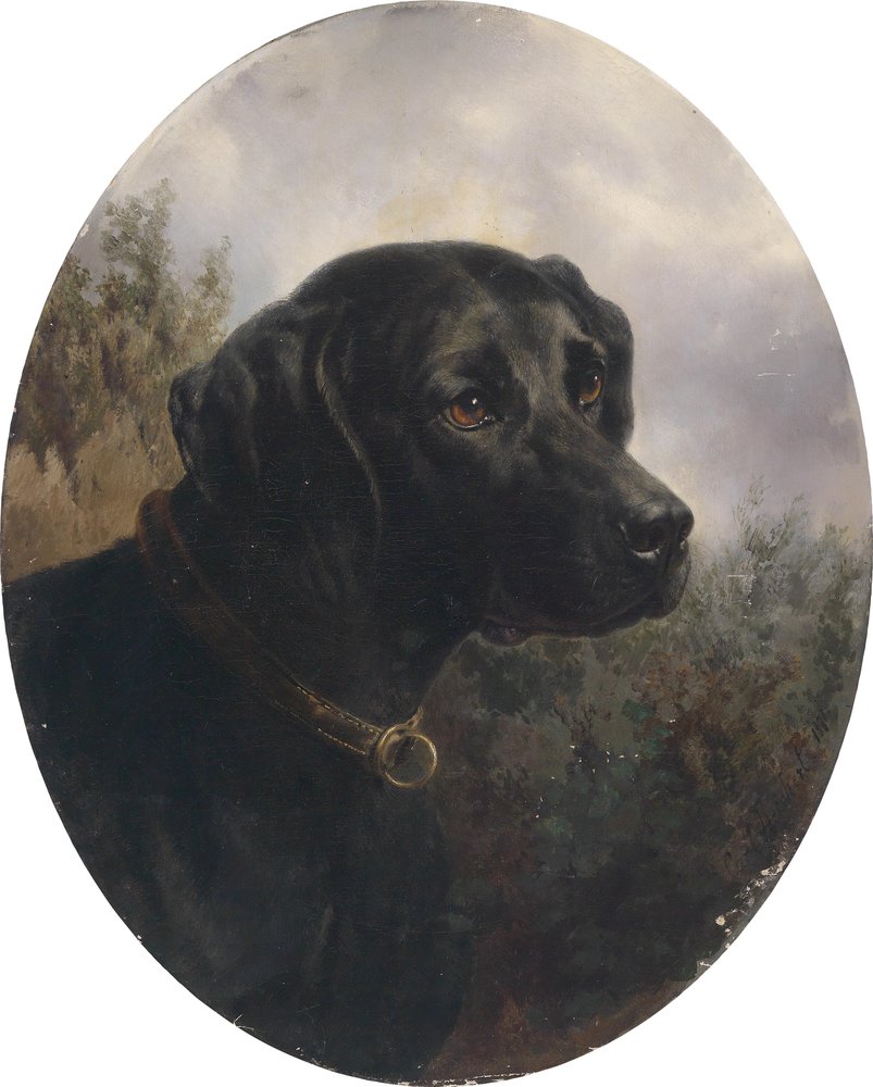 Hector, Pointing Dog of Arthur Ritter von Schnapper