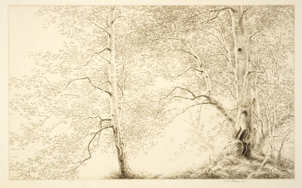 Birches by Kerr Eby