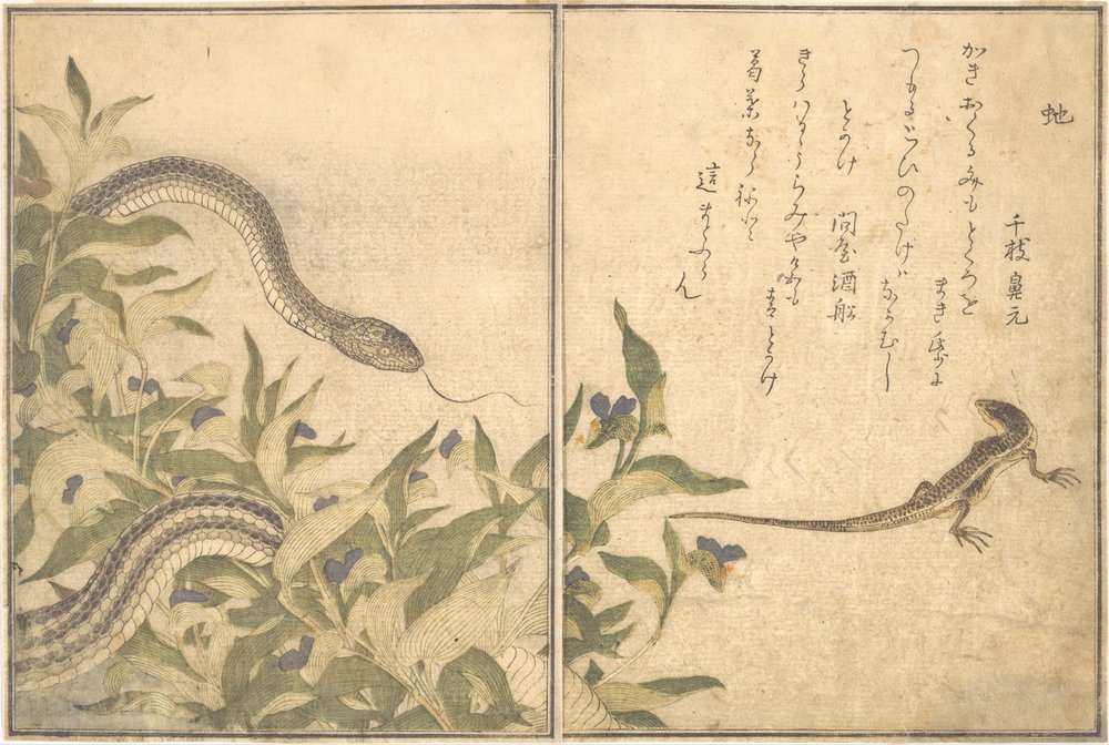 Rat Snake, Lizard or Skink by Kitagawa Utamaro