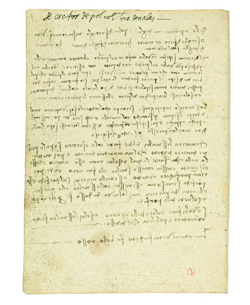 Codex on the Flight of Birds, Endpaper II