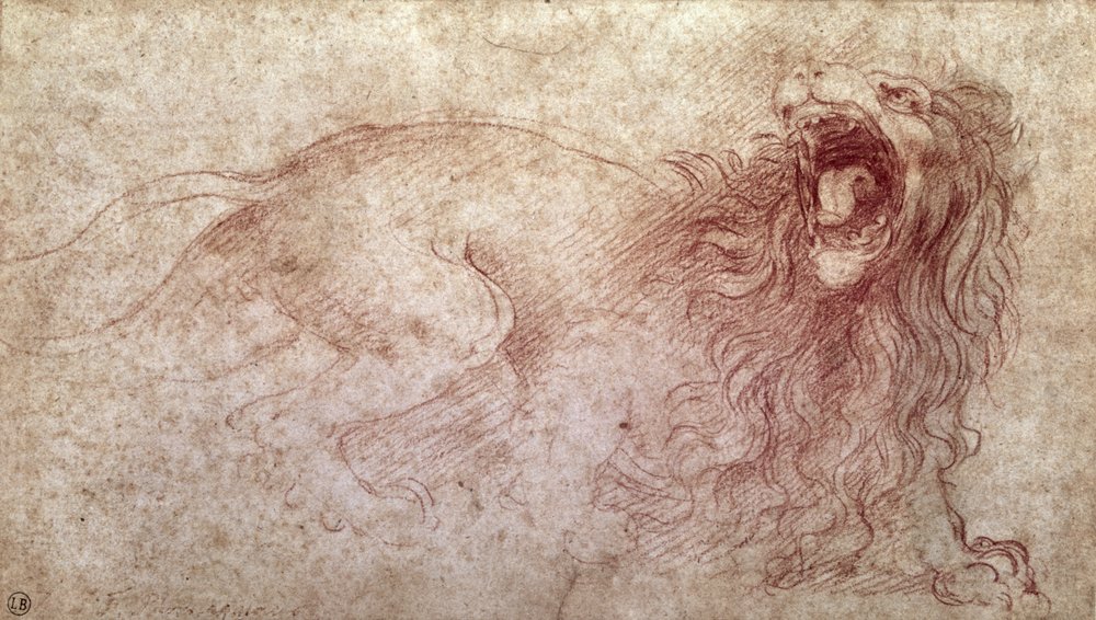 Sketch of a roaring lion by Leonardo da Vinci