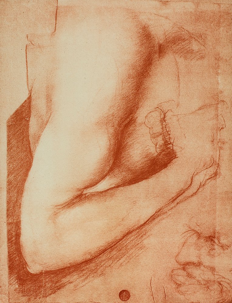 Study of an Arm by Leonardo da Vinci: Buy fine art prints