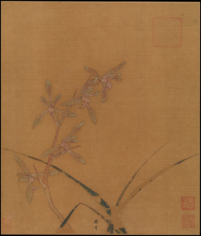 Orchids, second quarter of the 13th century by Lin Ma