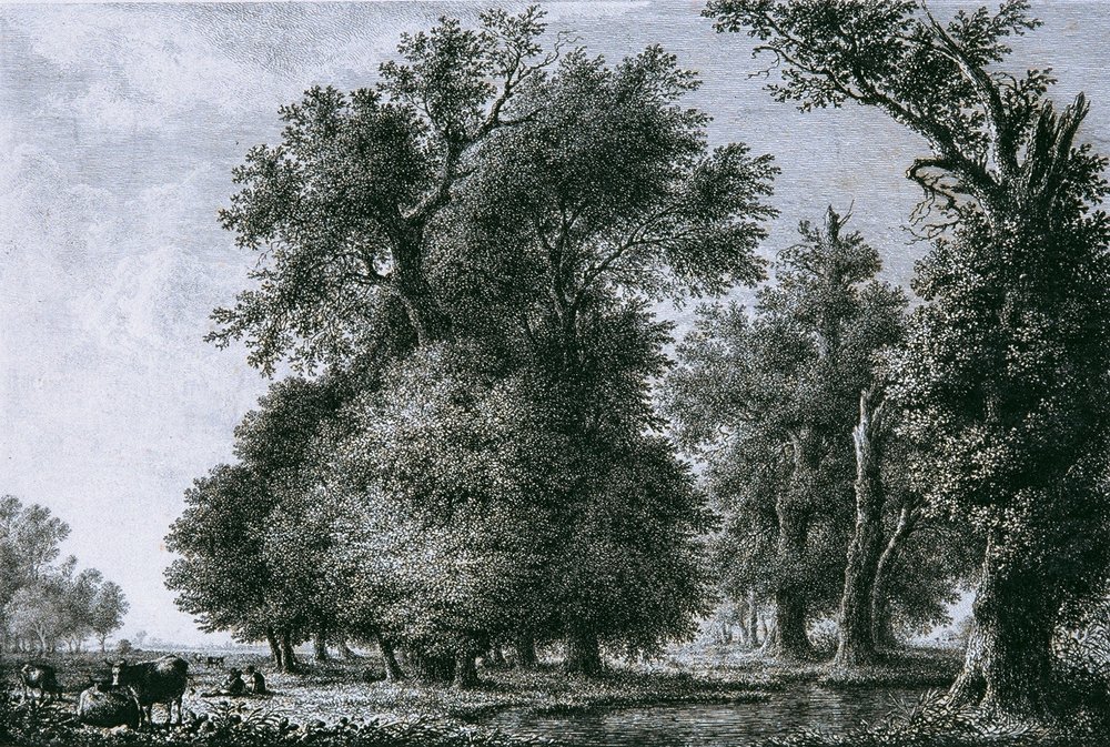 Landscape with Oaks by Lorenz Adolf Schönberger