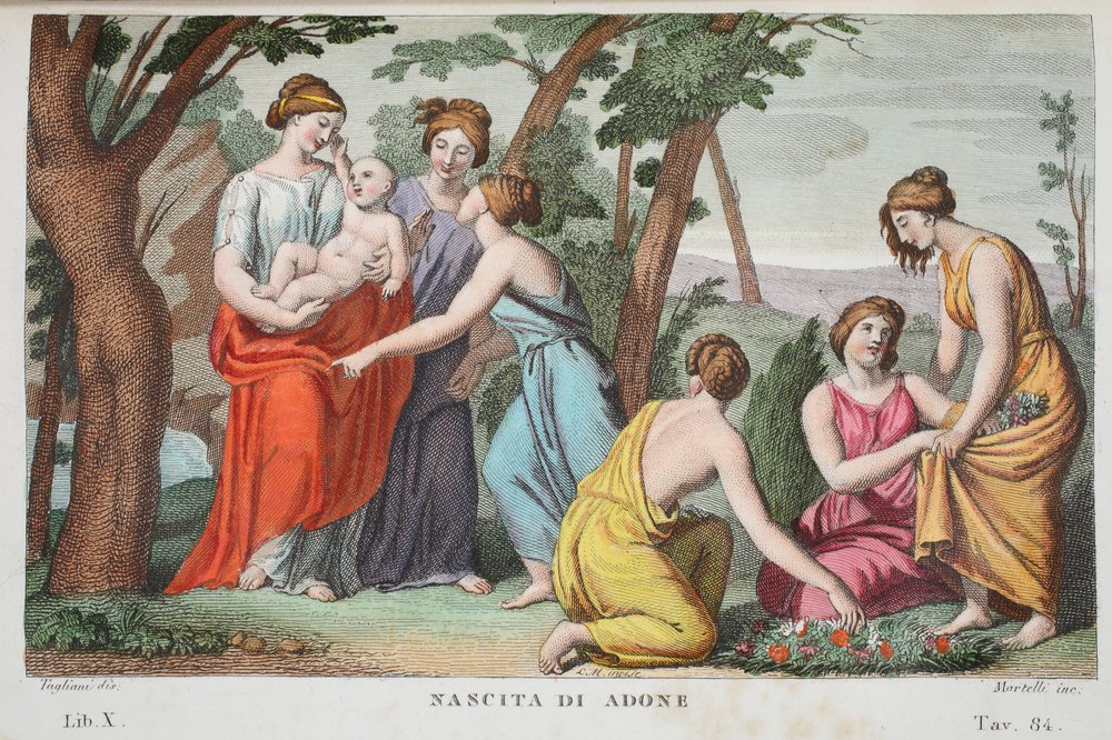 The birth of Adonis, Book X, illustration from Ovid's Metamorphoses ...