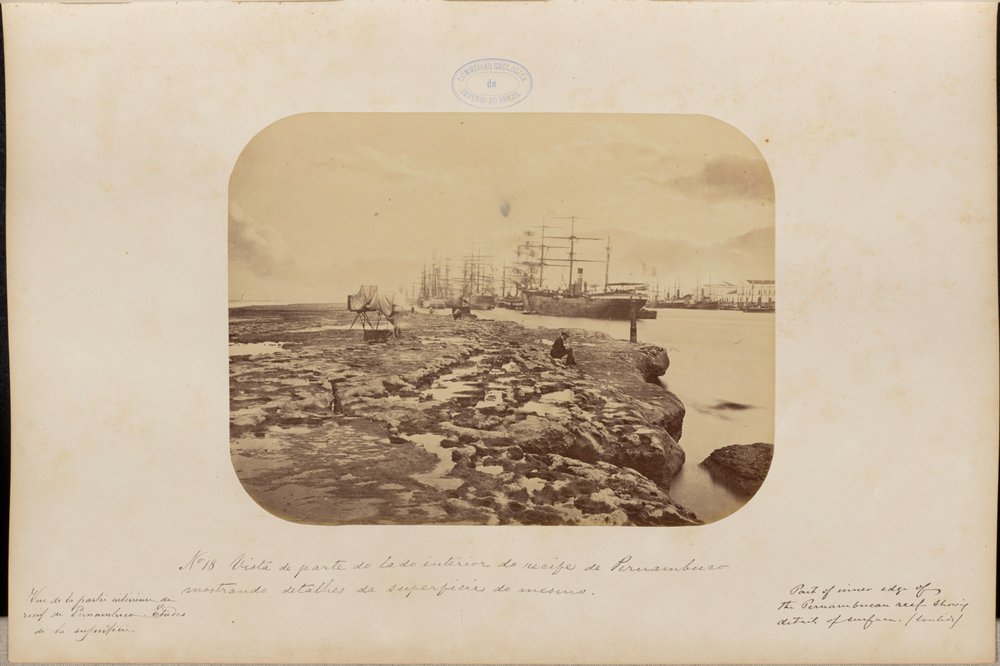 View of Part of the Interior of the Recife of Pernambuco showing ...