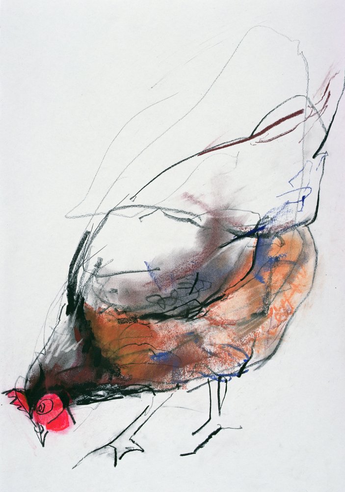 Feeding Hen, Trasierra, 1998 by Mark Adlington