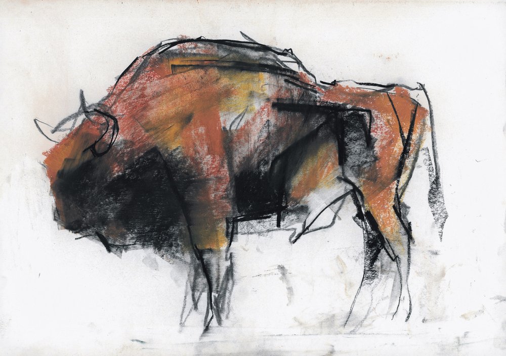 Bison, Białowieża by Mark Adlington