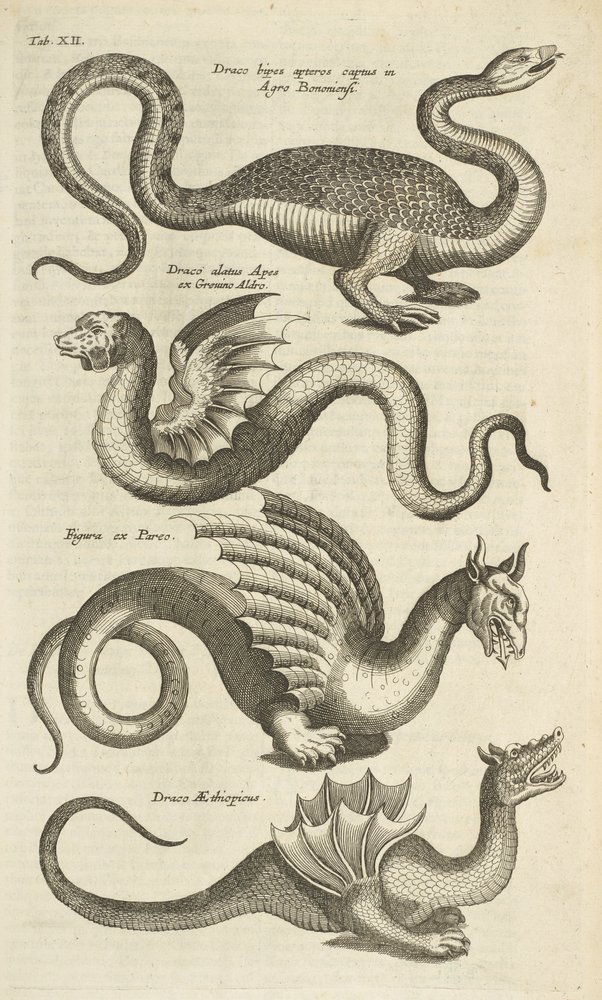 Plate XII, Mythical Creatures, Dragons, Illustration from 