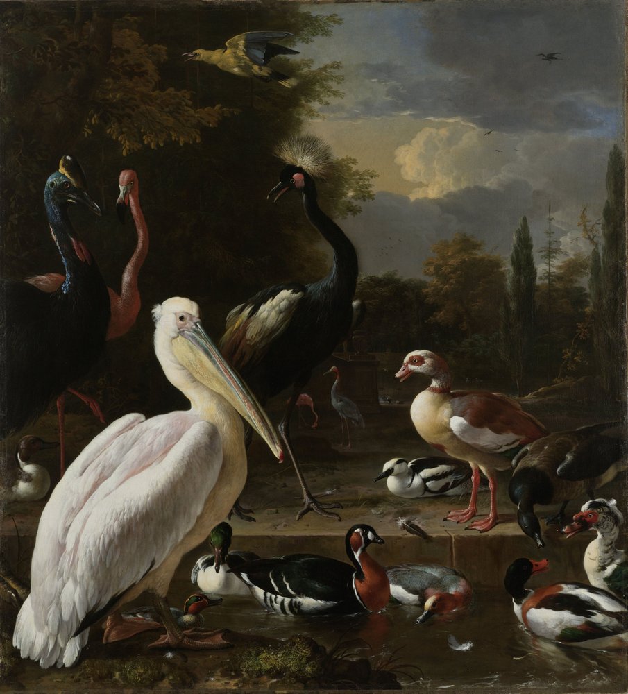 A Pelican and other Birds near a Pool, Known as ‘The Floating Feather’, c.1680 by Melchior de Hondecoeter