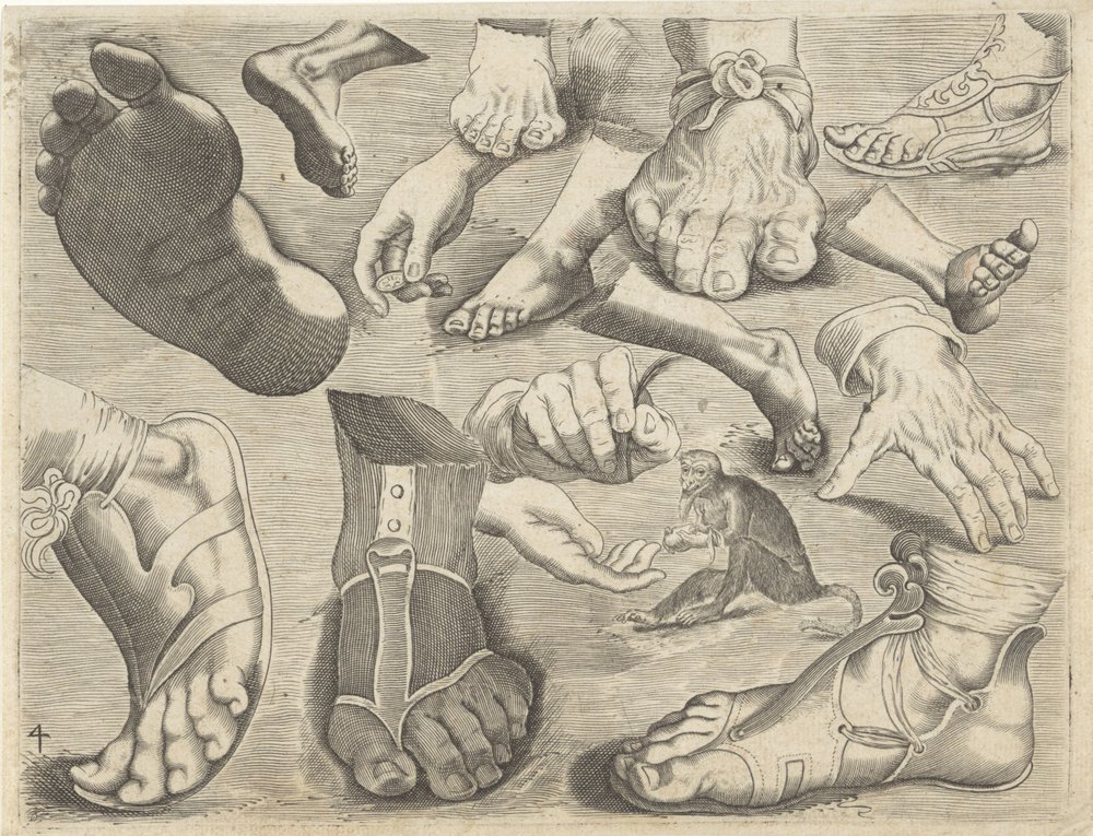 Study Sheet with Drawing Examples: Hands, Feet, and a Monkey (Series ...