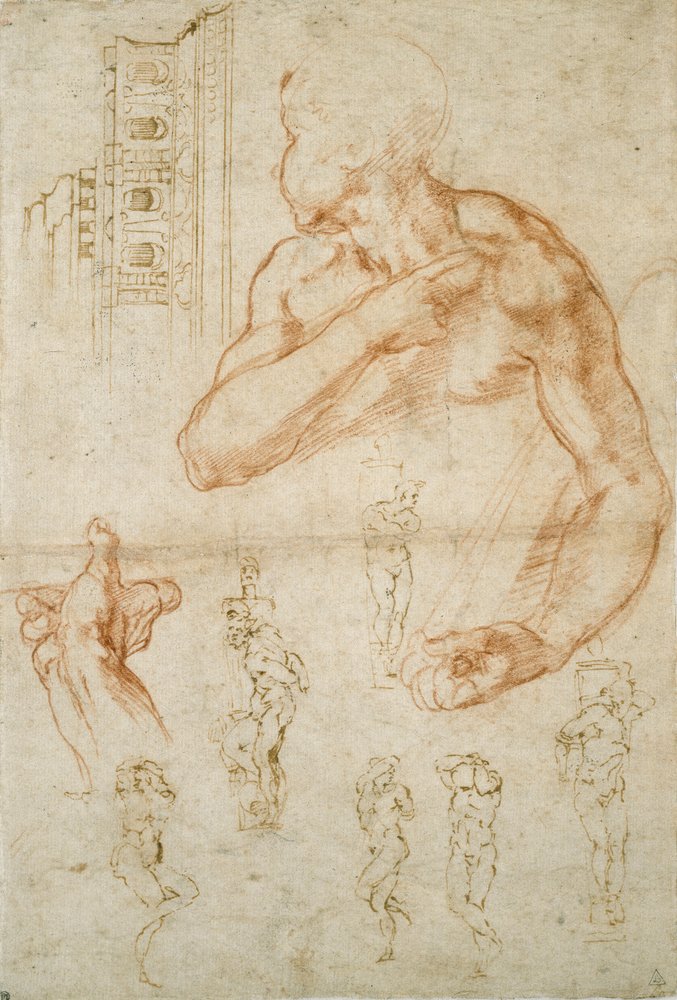 Various Studies for the Sistine Ceiling and the Tomb of Pope Julius II