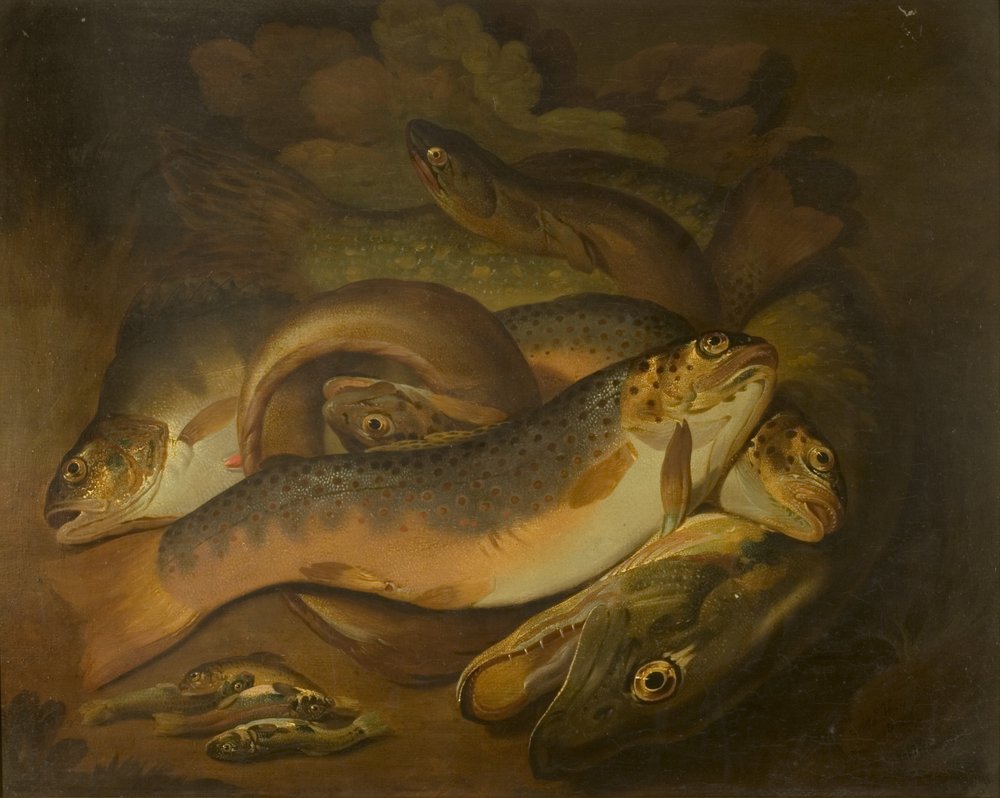Fishes by Moses Haughton: Highest-quality art reproduction