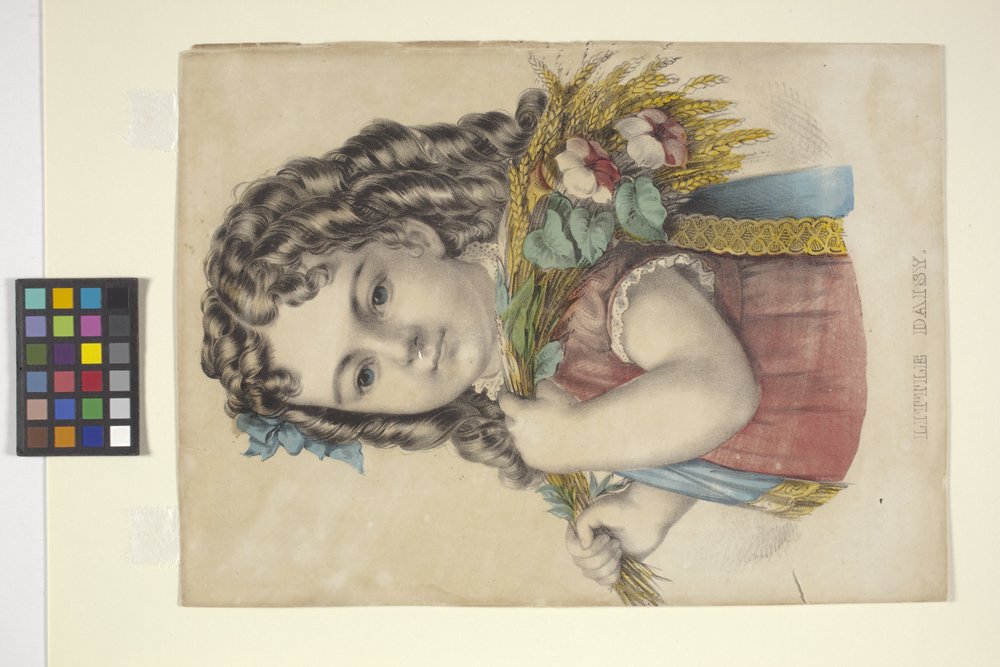 Little Daisy by N. and Ives J.M. (1824-95) Currier