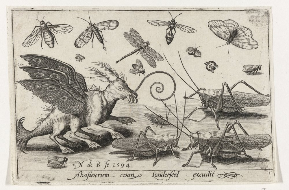 Grasshoppers and Fantasy Creature with Wings and Webbed Feet, Birds and ...
