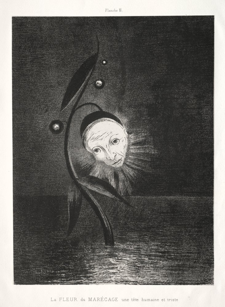 Homage to Goya: The Marsh Flower, a Sad Human Head, 1885 by Odilon Redon