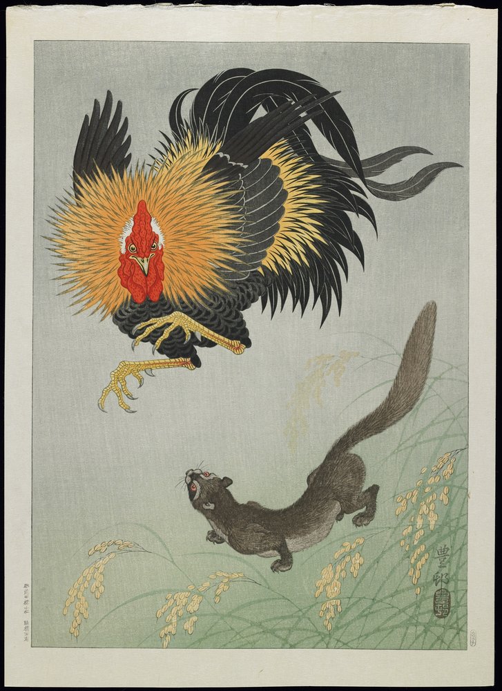 Rooster and Weasel, 1930s by Ohara Koson