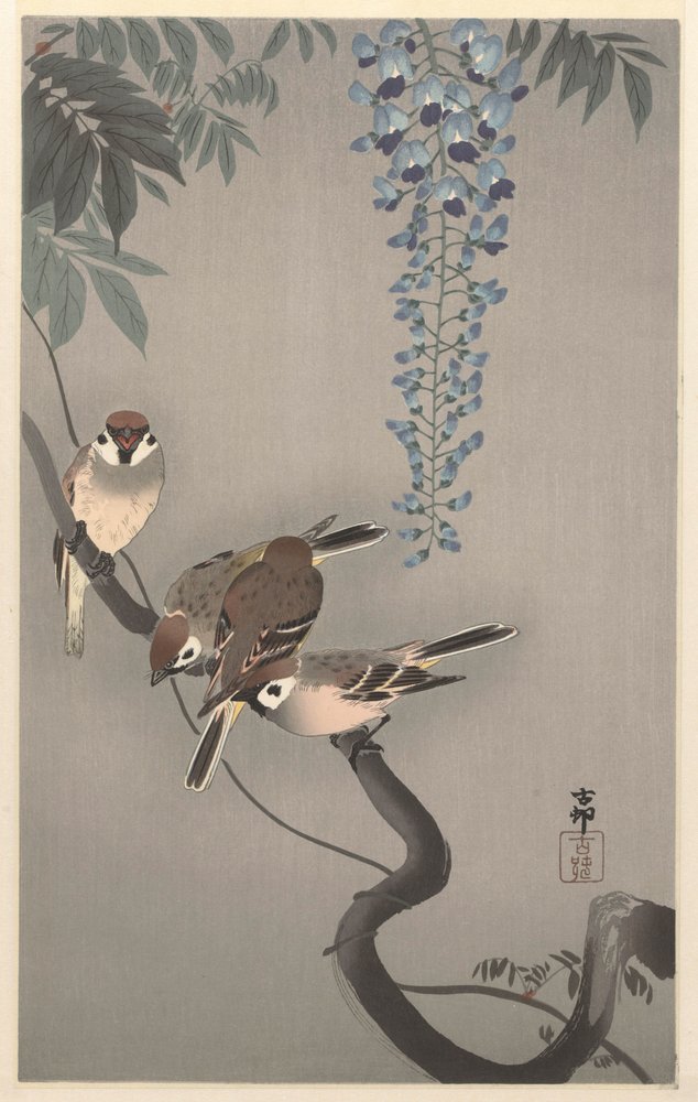 Tree Sparrows by Wisteria by Ohara Koson