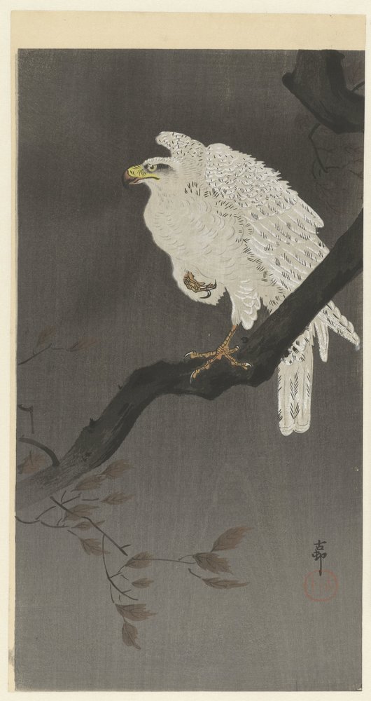Snow Eagle on a Tree Branch by Ohara Koson